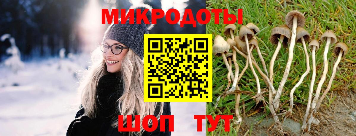 Псилоцибиновые грибы мицелий Полевской